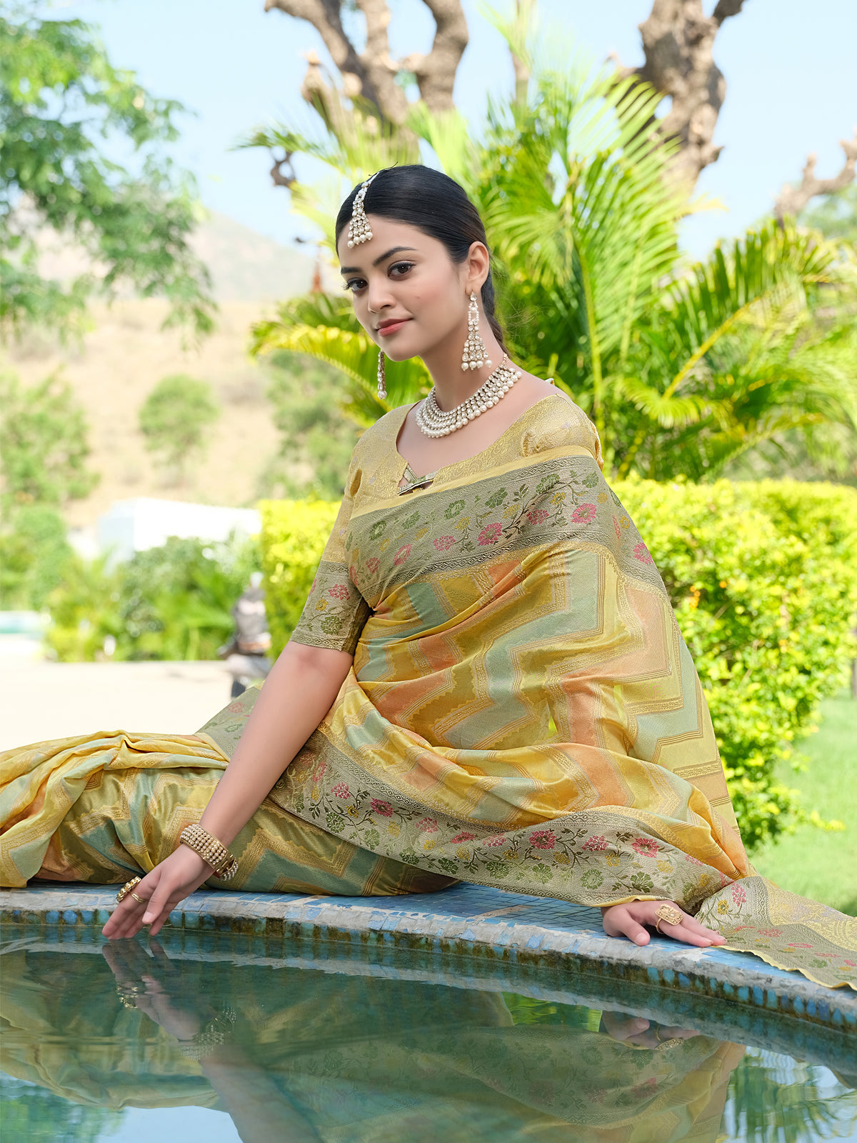 Orange Organza Saree with Multicolored Zari Embroidery