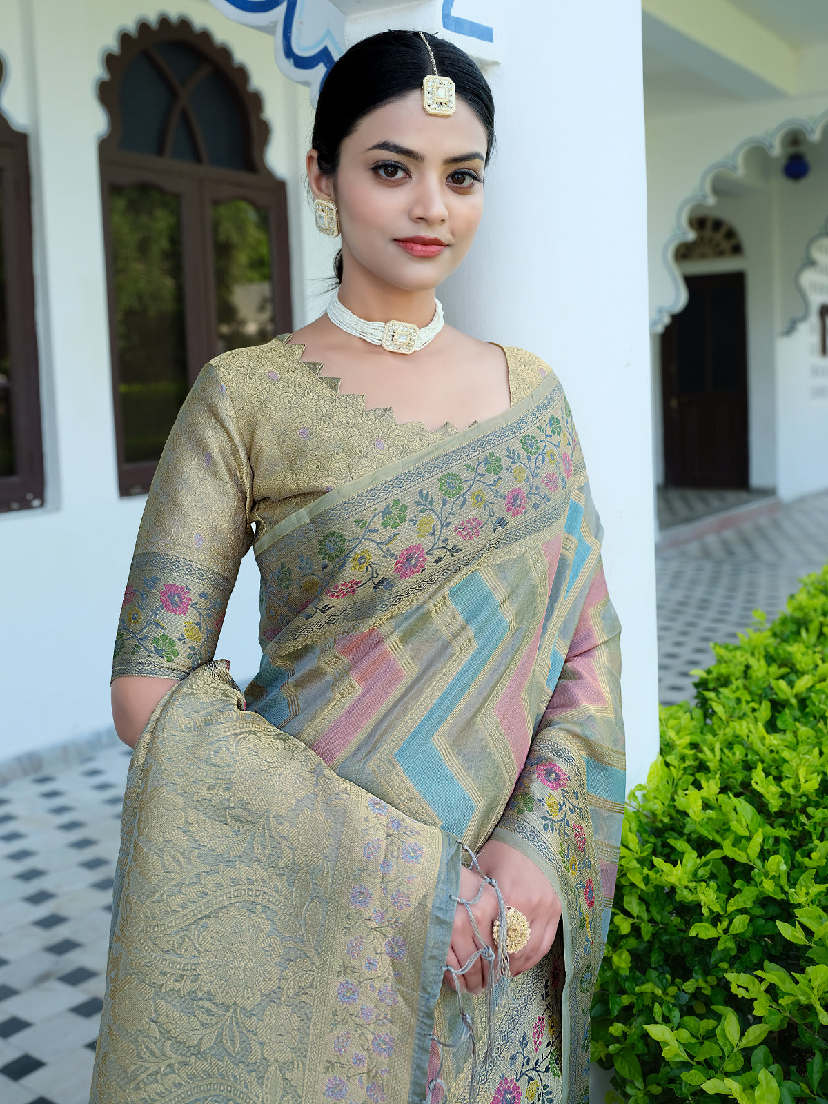 Rangkat Organza Saree with Multicolored Zari Embroidery