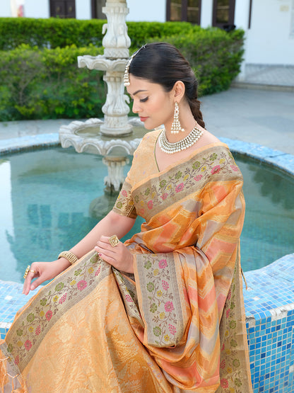 Orange Organza Saree with Multicolored Zari Embroidery