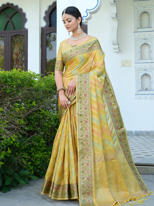Orange Organza Saree with Multicolored Zari Embroidery
