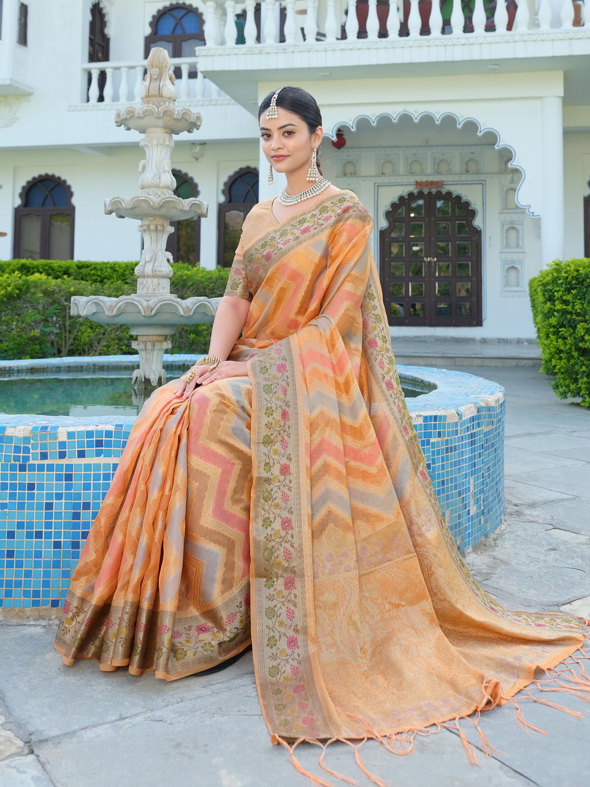 Orange Organza Saree with Multicolored Zari Embroidery