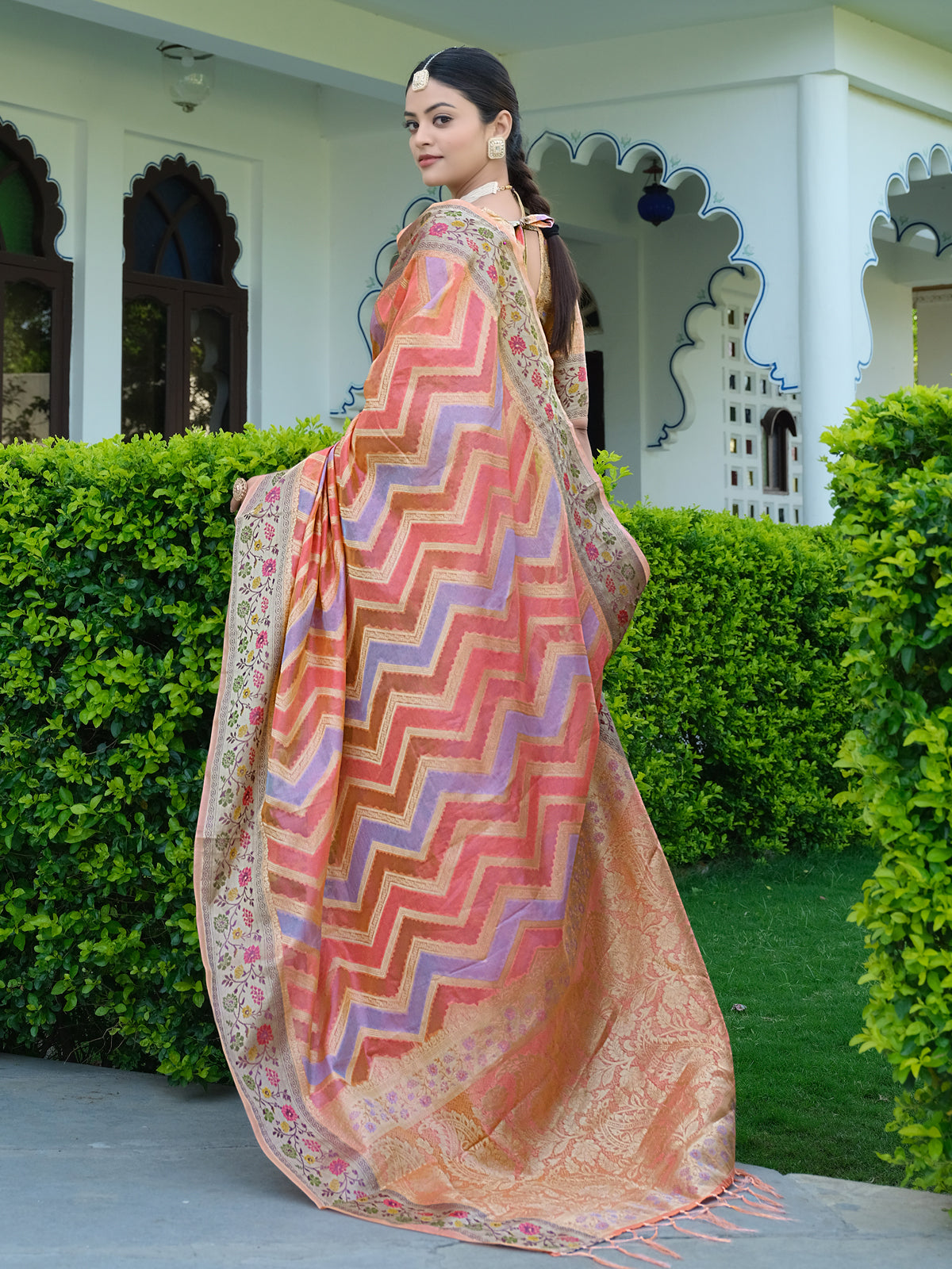 Rangkat Organza Saree with Multicolored Zari Embroidery