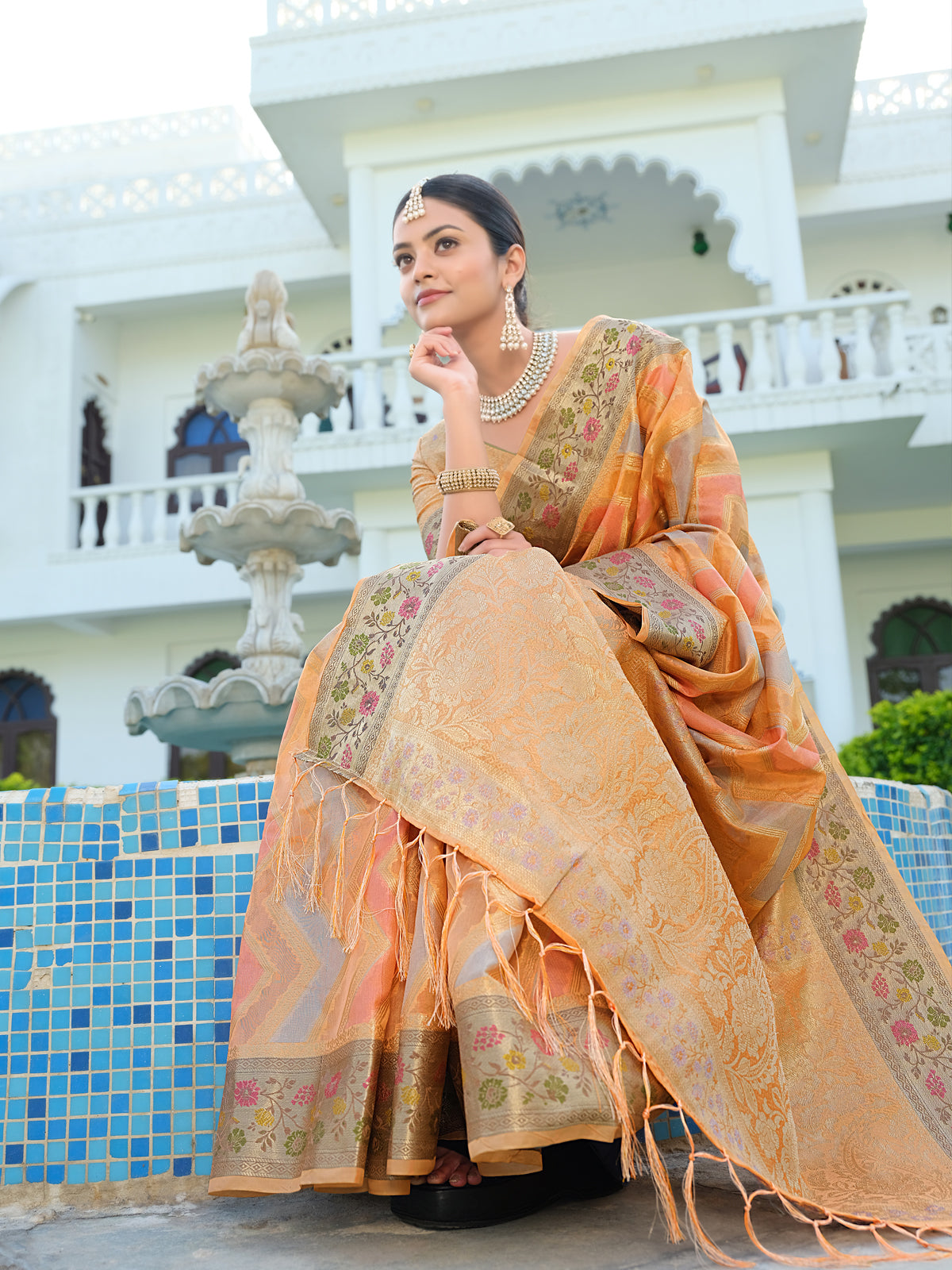 Orange Organza Saree with Multicolored Zari Embroidery