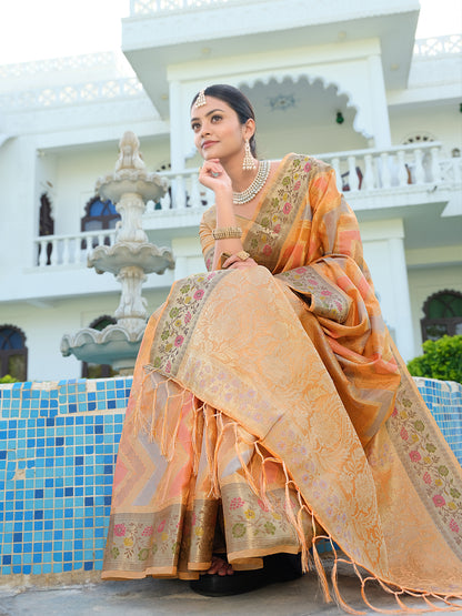 Orange Organza Saree with Multicolored Zari Embroidery