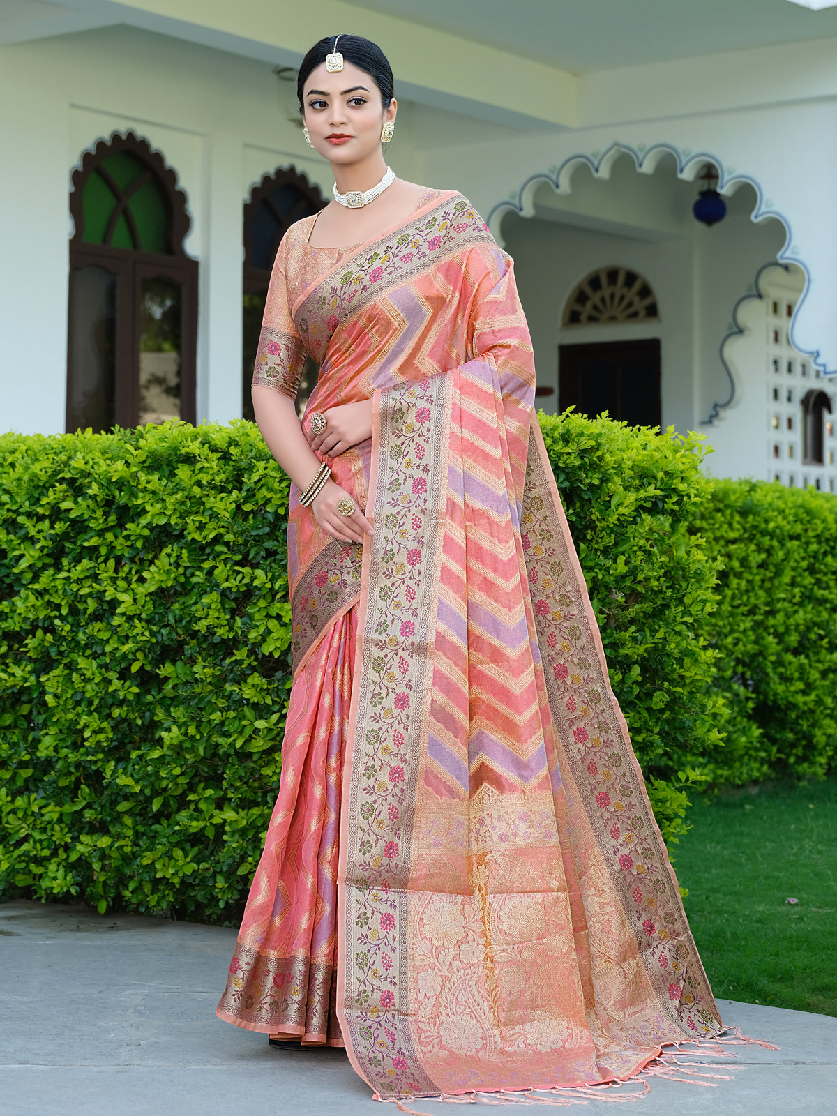 Rangkat Organza Saree with Multicolored Zari Embroidery