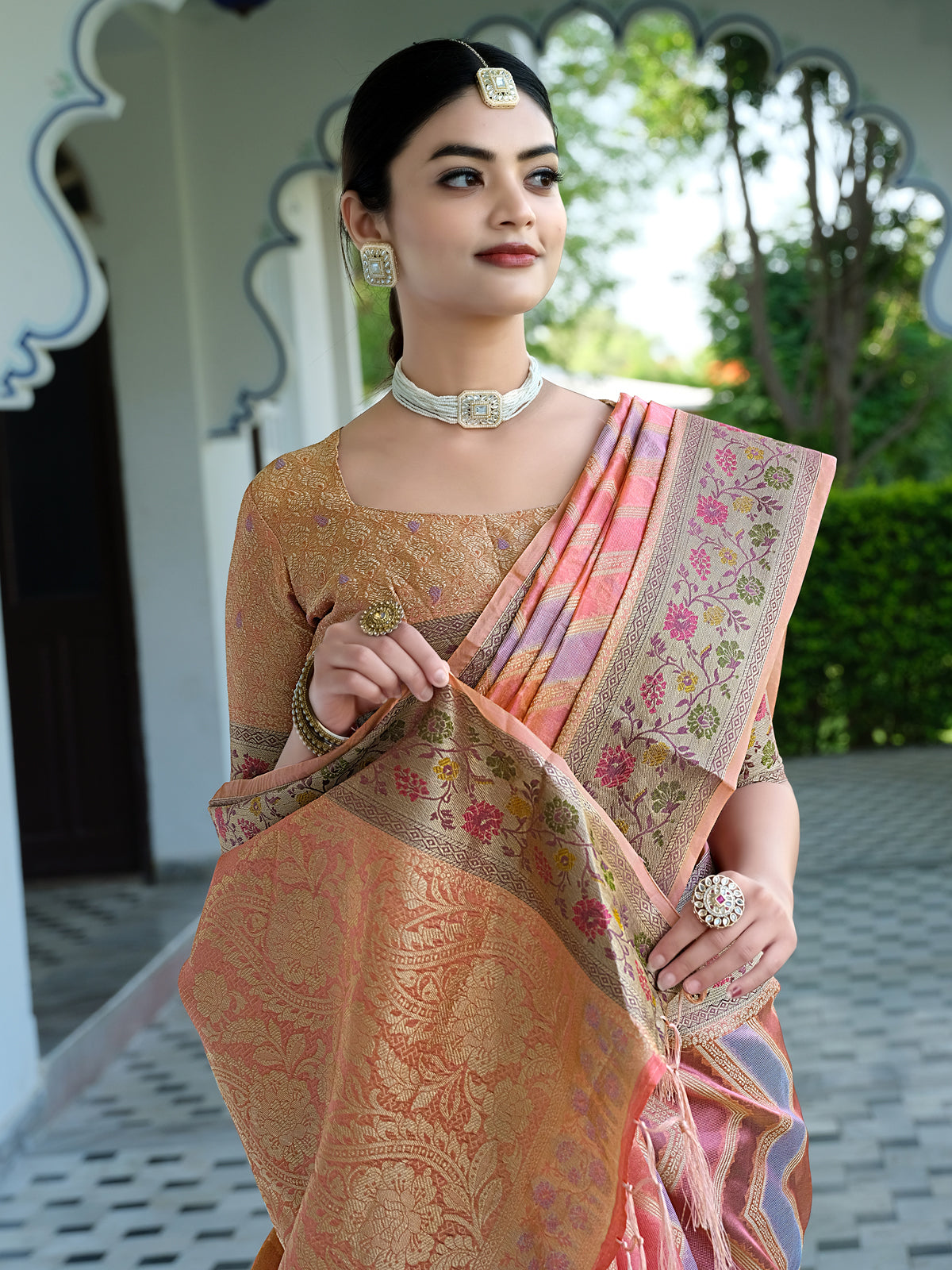 Rangkat Organza Saree with Multicolored Zari Embroidery